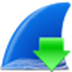 Wireshark(抓包分析工具) V3.4.6 多国语言安装版