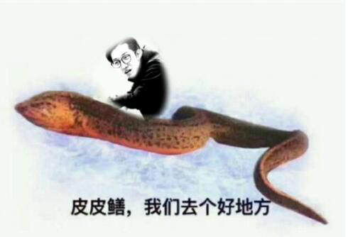 黄鳝表情包