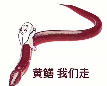 黄鳝表情包