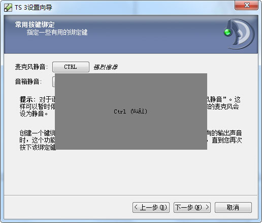 TeamSpeak(IP语音通信系统)