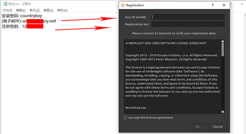 Amberlight(粒子特效制作软件)