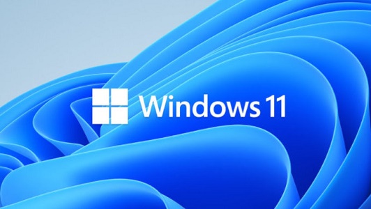 Win11 pro是什么版本？Win11 pro介绍