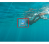 Win10 version是什么版本?Win10 version版本详细介绍