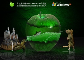 青苹果Windows XP SP3 通用专业版 V2021.09