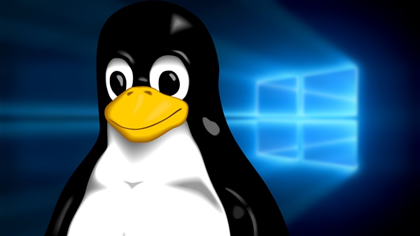 Linux为何干不过Windows系统？大神Linus：程序兼容太糟糕