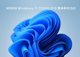 MSDN 4月 Windows 11 22000.613 简体中文ISO V2022.04