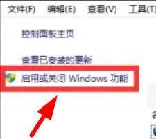 Win11怎么打开IIS管理器应用?