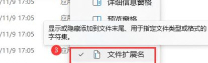Win11如何展示文件扩展名?Win11展示文件扩展名的方法