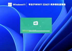 专注于windows11 22621最新纯净专业版(免激活装机版)
