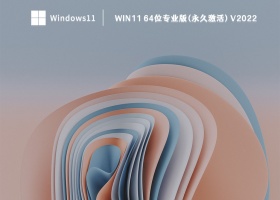 Win11 64位专业版(永久激活) V2022