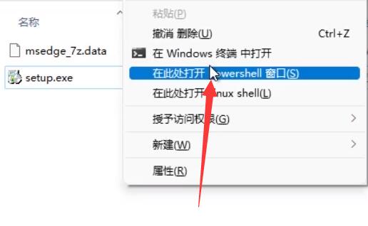 Win11无法卸载edge怎么办?Win11彻底卸载edge浏览器的方法