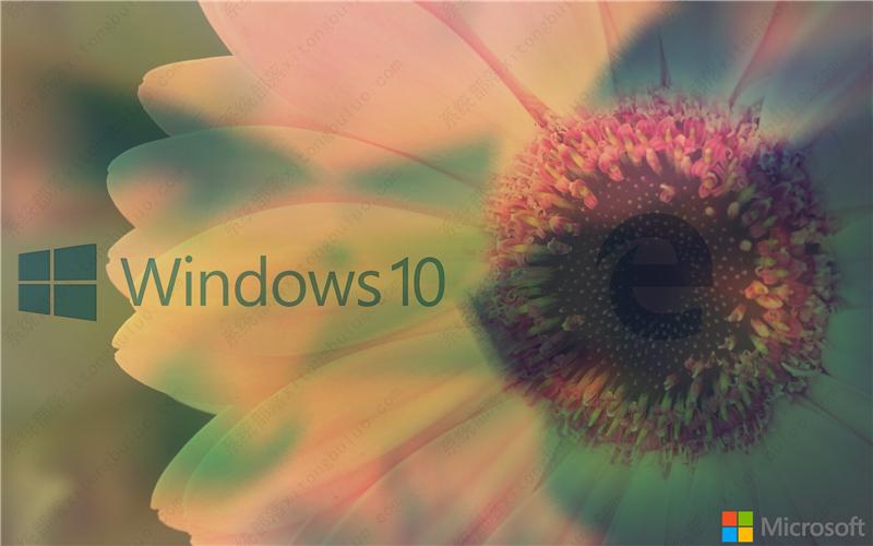 win10设置界面滑块图标异常怎么办？