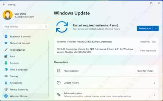 如何下载Windows 11 Build 25300 Insider Preview ISO文件？