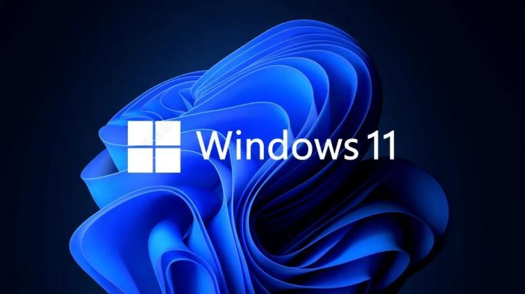 怎么看显卡功耗？Win11显卡功耗查看方法