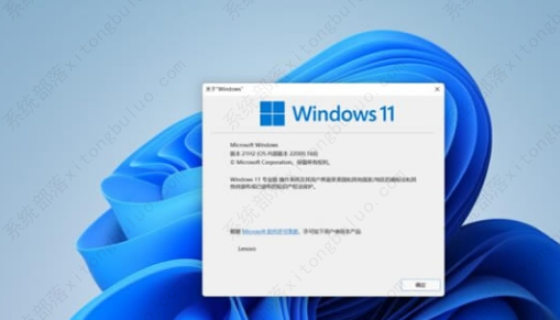 win11正式版和预览版有什么区别？win11正式版和预览版的区别