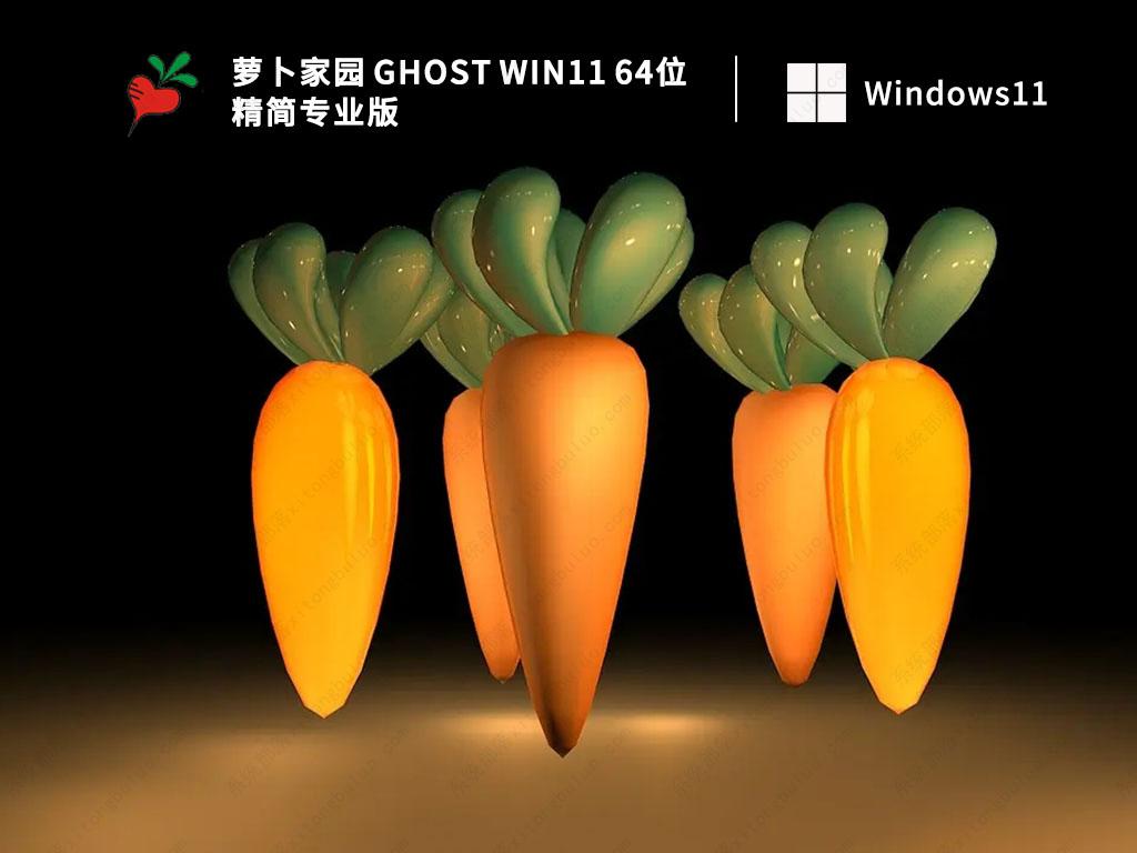 Win11精简版下载_萝卜家园 Ghost Win11 64位 精简专业版