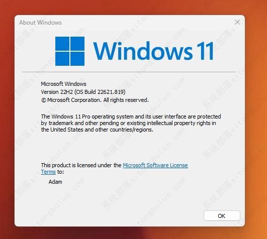 Win11 22H2中怎么使用实时字幕Live Captions功能？