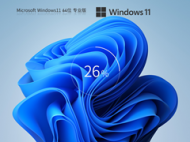 Windows11 22H2 X64 专业装机版 V2023