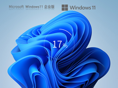 Windows11 22H2 64位 企业中文版 V2023