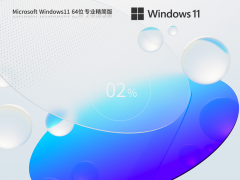 Windows11 22H2 X64 专业精简版 V2023