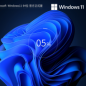 Windows11 22H2 X64 官方正式版 V22621.2283