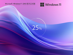Windows11 23H2 X64 官方正式版 V2023