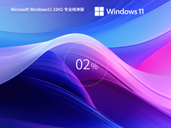 Windows11 23H2 X64 精简纯净版 V2023