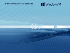 惠普 HP Windows10 X64专业装机版 V2023 
