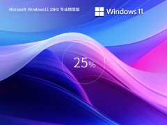 【精简系统】Windows11 23H2 X64 专业精简版