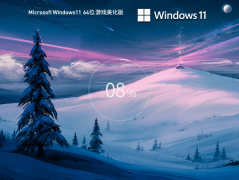 【游戏美化】Windows11 22H2 X64 专业稳定版 V2023