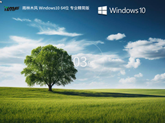 雨林木风 Windows10 X64 镜像精简版