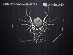 【机械革命】MECHREVO Windows10 64位 专业装机版