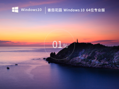 【番茄花园】Windows 10 64位 中文专业版