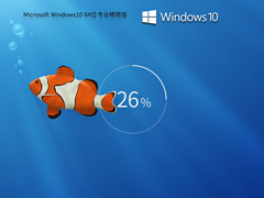 【虚拟机专用】Windows10 64位 精简中文版 V2024