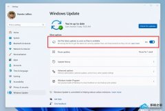 微软发布五月Win11 Beta 22635.3646(KB5037858)！新增“微软电脑管家”应用