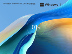【系统之家】Windows11 23H2 X64 精简版镜像 V2024