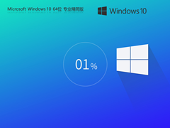 【精简优化】Windows10 22H2 X64 专业精简版 V2024