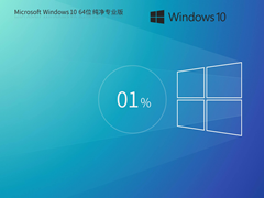 【干净不带软件】Windows10 64位 纯净专业版
