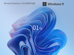 【干净不带软件】Windows11 23H2 纯净专业版