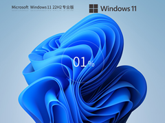 【日常使用】Windows11 22H2 X64 官方正式版