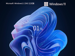 【2024年7月】Windows11 23H2 22631.3880 X64 官方正式版