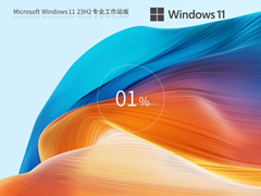 【高性能系统】Windows11 23H2 X64 专业工作站版