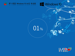 【品牌专属】萝卜家园 Windows10 64位 专业中文新浦京城娱乐