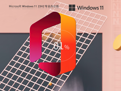 【办公专用】Windows11 23H2 X64 专业办公版