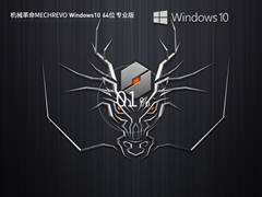 【机械革命】MECHREVO Windows10 64位 专业装机版