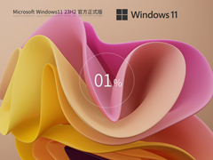 【8.28版】Windows11 23H2 X64 官方最新版 V22631.4112