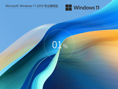 【流畅/极简】Windows11 23H2 X64 专业精简新浦京城娱乐