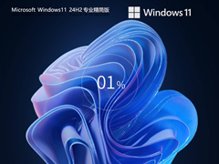 【流畅/极简】Windows11 24H2 X64 专业精简新浦京城娱乐