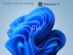 【最安全的Windows】Windows11 24H2 64位 企业纯净版