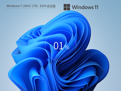 【为弹性办公设计】Windows11 24H2 64位 企业版LTSC